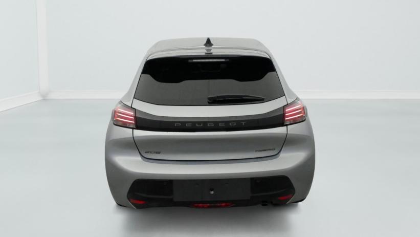 Aperçu du véhicule : Hybrid 110 e-DCS6 Allure