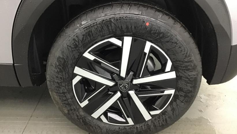 Aperçu du véhicule : 2008 Hybrid 145 e-DCS6 Style